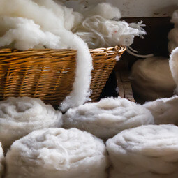 Wolle waschen – von wegen kompliziert!