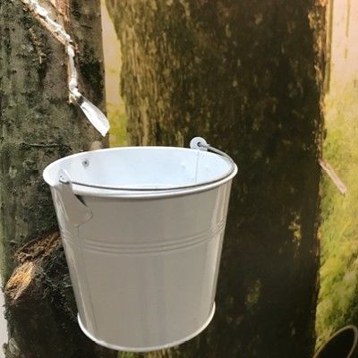 Der Saft des Gummibaums ist der Ursprung des nachhaltigen Spielzeugs.