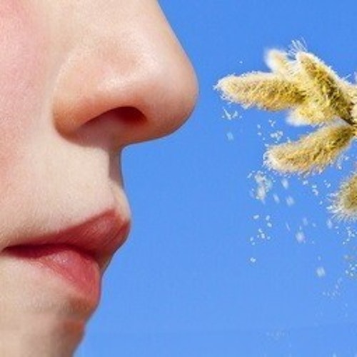 Kinder Allergie und die Symptome