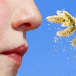 Kinder Allergie und die Symptome