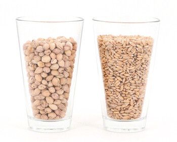 Ein Glas mit Kirschkernen drin und ein Glas mit Dinkelkörnern