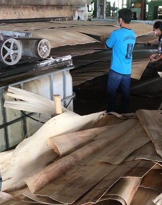 Zwei Mitarbeitenden von PlanToys mit vielen dünnen Holzplatten