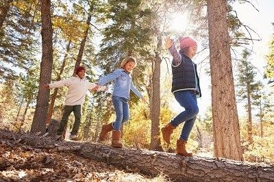 Drei Kinder balancieren über einen im Wald auf dem Boden liegenden Baumstamm. Drei Kinder balancieren über einen im Wald auf dem Boden liegenden Baumstamm.