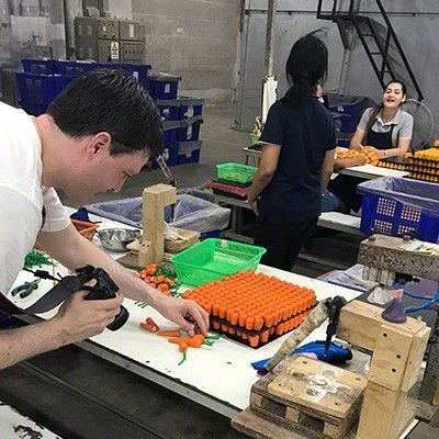 Holzspielzeug für die Kinderküche von PlanToys direkt nach der Herstellung Denver Mielke beim Fotografieren von frisch gebauten Holz-Möhren