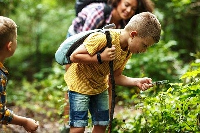 Junge mit Wanderstock steht auf einem Waldweg und betrachtet eine Pflanze durch eine Lupe Junge mit Wanderstock steht auf einem Waldweg und betrachtet eine Pflanze durch eine Lupe