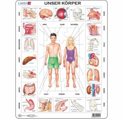 Larsen Lernpuzzle "Unser Körper" Ein Puzzle mit der Überschrift "Unser Körper". Abgebildet sind 2 Kinder und drumherum Körperteile und Organe