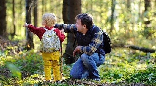 Vater ist mit seinem kleinen Kind im Wald unterwegs und zeigt ihm etwas.