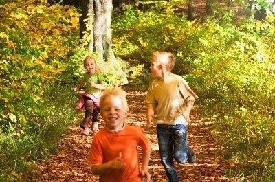 Drei Kinder rennen auf einem Waldweg um die Wette Drei Kinder rennen auf einem Waldweg um die Wette