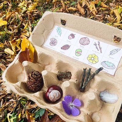 Eierkarton als selbstgebasteltes Naturbingo mit Blatt, Tannenzapfen, Kastanie, Blume usw.
