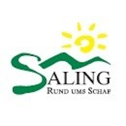 SALING-Logo