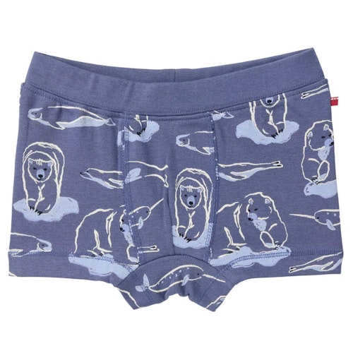 Boxershorts Doppelpack Arktis