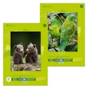 Vorschaubild Staufen Green Zeichenblock Edition Dürer – DIN A3, 18 Blatt