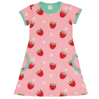 RASPBERRY Varianten Bild