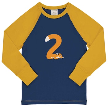 Raglanshirt langarm 2 Jahre