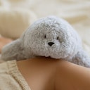 Vorschaubild Bio Einschlafhilfe mit Sound und Licht Robbe grau