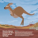 Vorschaubild Wilde Mamas – Sachbilderbuch ab 3 Jahren