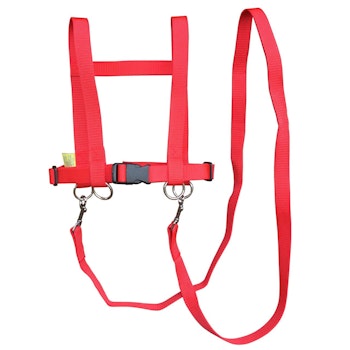 Pferdespielleine, rot Stabiles PP-Gurtband