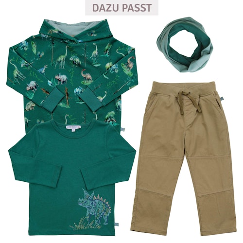 Langarmshirt Dinosaurier-Stickerei