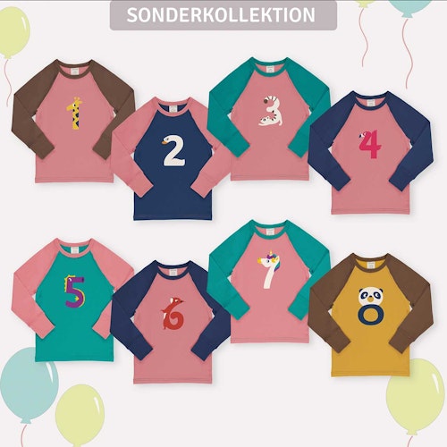 Raglanshirt langarm