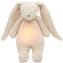 Vorschaubild Der Bio-Summhase mit Lampe sand