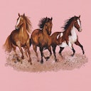 Vorschaubild Sonnenblume Shirt kurzarm