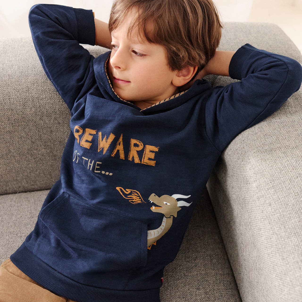 Sweat Hoodie Stegosaurus