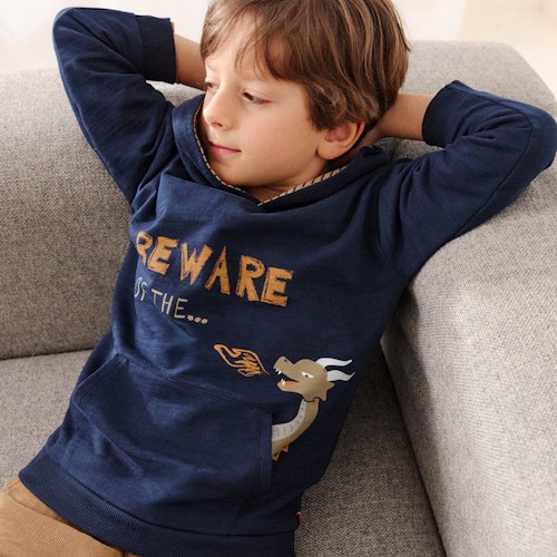 Sweat Hoodie Stegosaurus