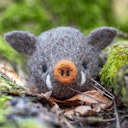 Vorschaubild Selber filzen mit Anleitung DIY Filz Set Wildschwein Level 3 ab 4 Jahre