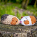 Vorschaubild Selber filzen mit Anleitung DIY Filz Set Meerschweinchen Level 2 ab 4 Jahre