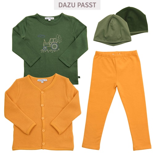 Langarmshirt Dinosaurier-Stickerei