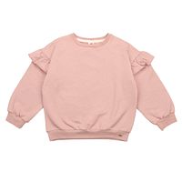 Pullover Walkiddy langarm Sweat