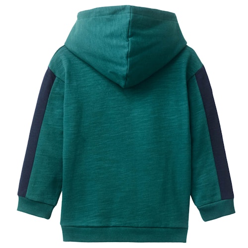 Sweat Hoodie Stegosaurus