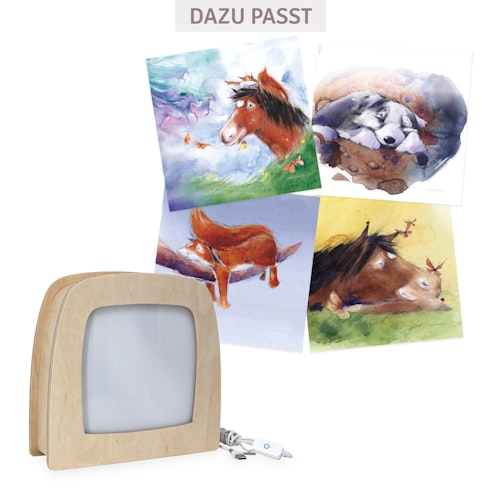 4 StoryLux Silhouetten: Hrókur und die Himmelsreiter