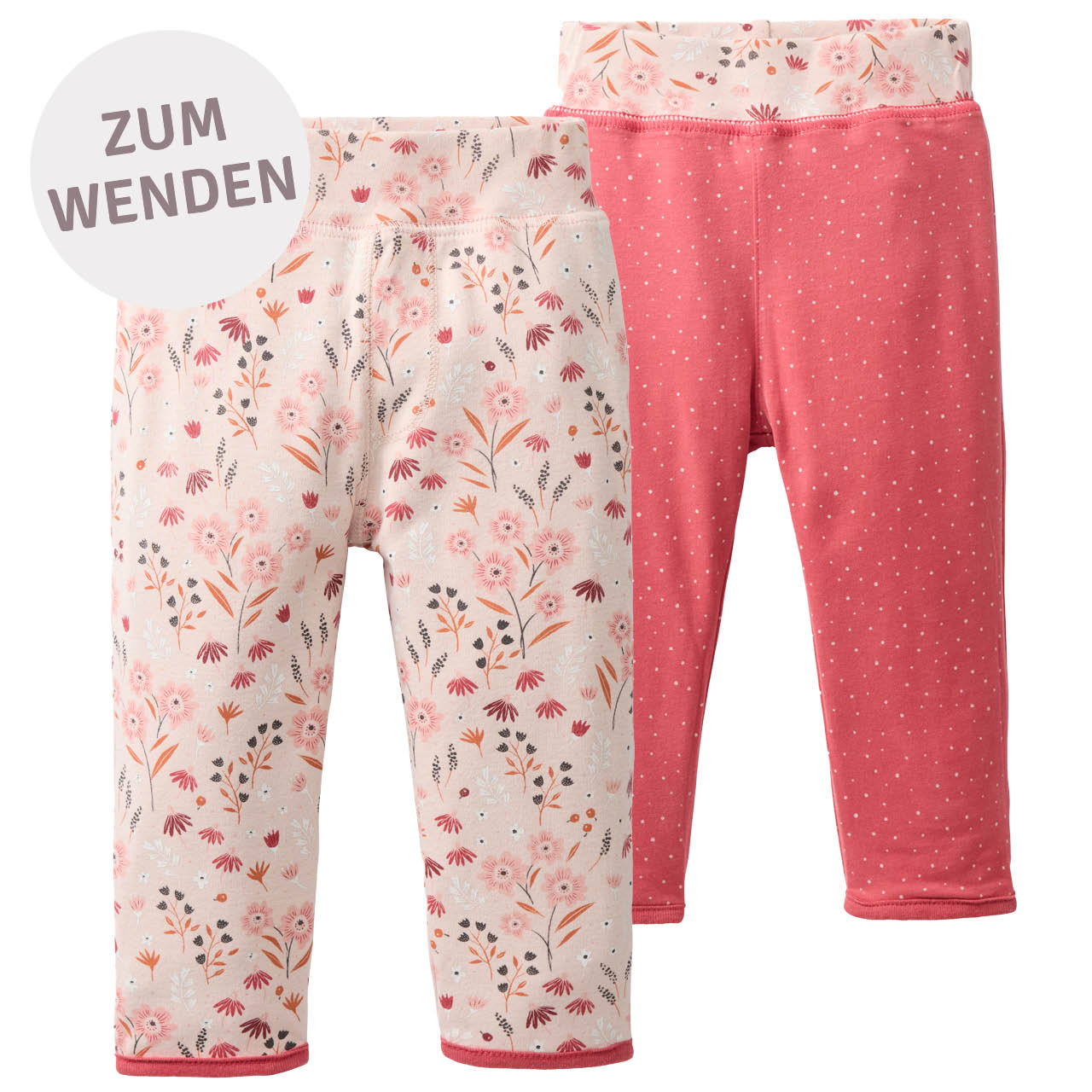 Dicke Wendehose Schneeleopard