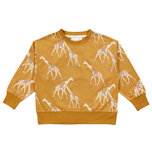 Leichter Sweater Muscheln