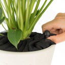 Vorschaubild Pflanzenschutznetz 30 cm mit Kordelstopper