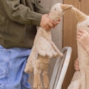 Vorschaubild Gans klein Traubenkern Kuscheltier Wärmekissen leinen