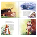 Vorschaubild Abenteuer Buch Hrókur und die Himmelsreiter ab 5 Jahren