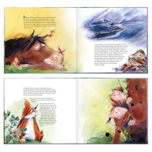 Abenteuer Buch Hrókur und die Himmelsreiter ab 5 Jahren