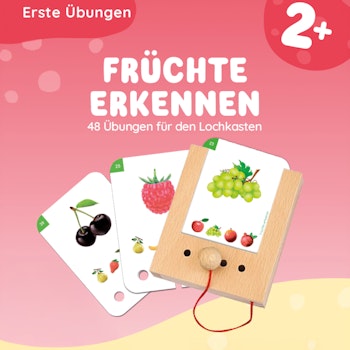Erste Übungen - Früchte erkennen Kartensatz (ohne Lochkasten)