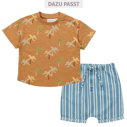 Leichte Twill Shorts