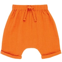 ORANGE Varianten Bild