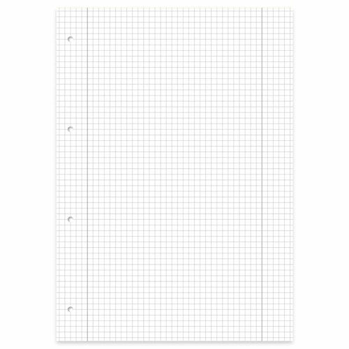 Schulblock kariert mit Rand – Lineatur 28, DIN A4