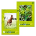 Vorschaubild Staufen Green Zeichenblock Edition Dürer – DIN A4, 18 Blatt