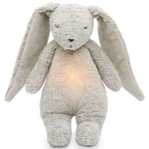 Der Bio-Summhase mit Lampe grau