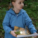 Vorschaubild LED Taschenlampe mit Akku Krokodil