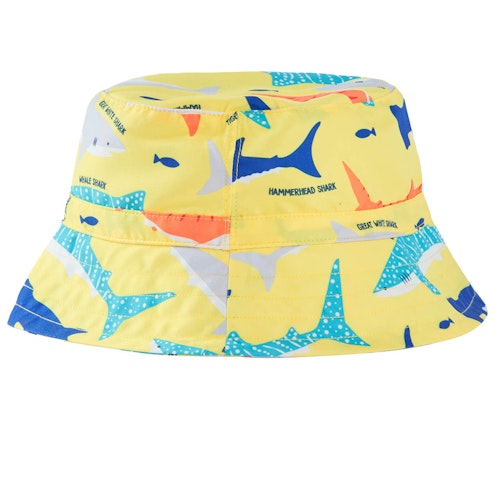 Schwimmhut Haie
