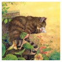 Vorschaubild Giesbert in der Regentonne Vorlesebuch ab 4 Jahren