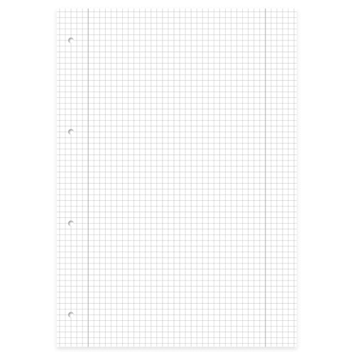 Spiralblock kariert mit Rand – Lineatur 28, DIN A4