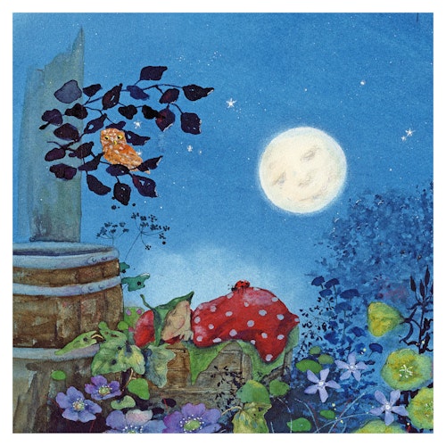 Giesberts kleiner Garten Pappbilderbuch ab 2 Jahren